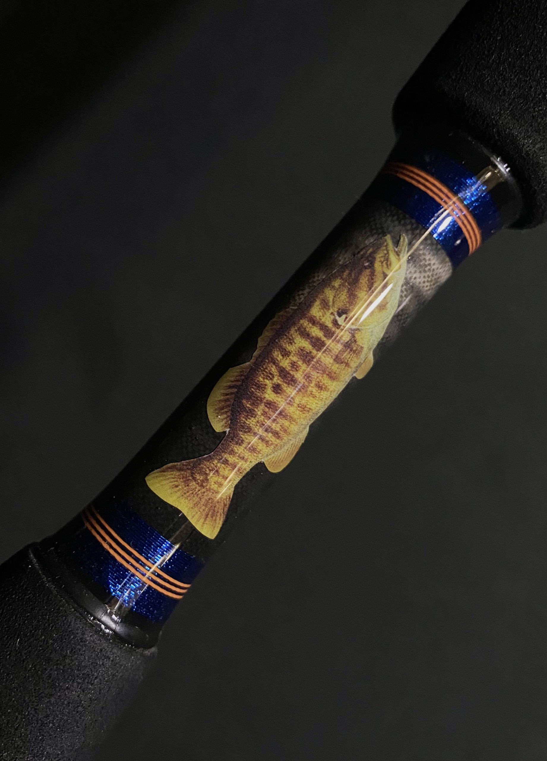 Featured image for “6'6" Heavy Spinning Rod – Smallmouth Special”